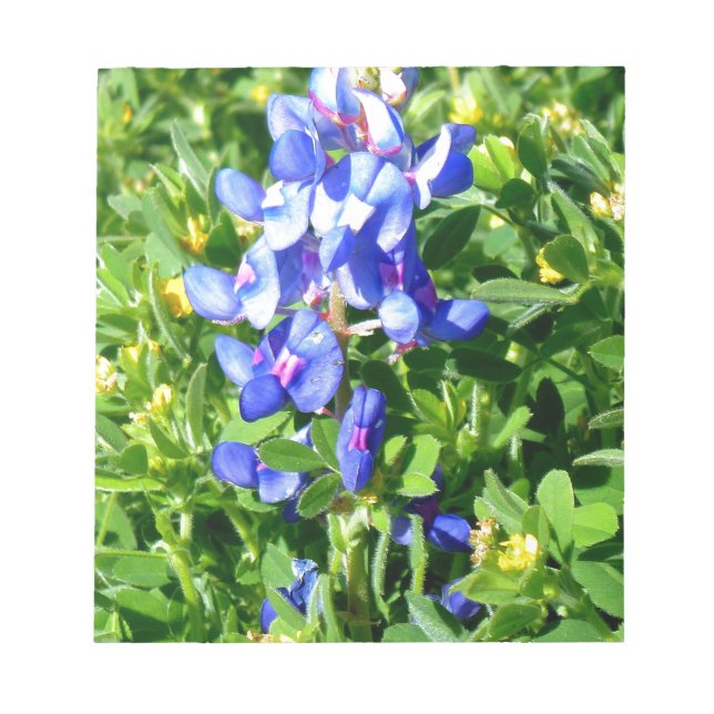 Bloco De Notas TEXAS BlueBonnet (Frente)