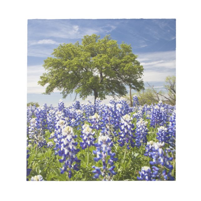 Bloco De Notas Texas bluebonnets(lupinus texensis) e carvalho (Frente)