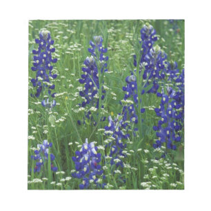 Bloco De Notas Texas, Lago Buchanan. Texas Bluebonnet e Selvagem
