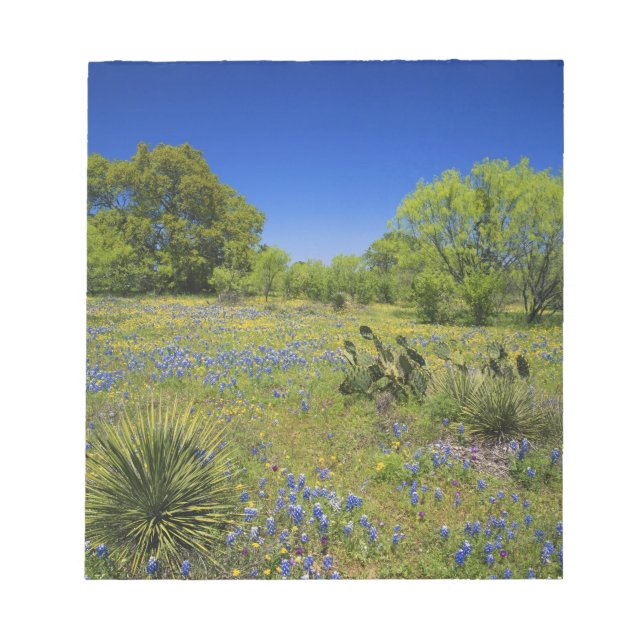 Bloco De Notas Texas, Texas Hill Country, Low bladderpod, (Frente)