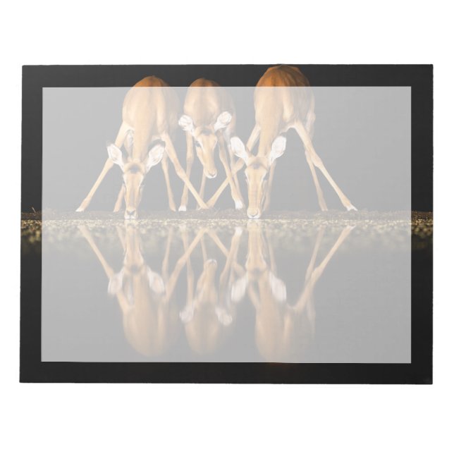 Bloco De Notas Three Impala Drink Together at Night (Frente)