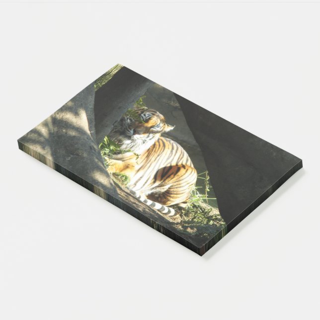 Bloco De Notas Tiger Catnap (Inclinado)