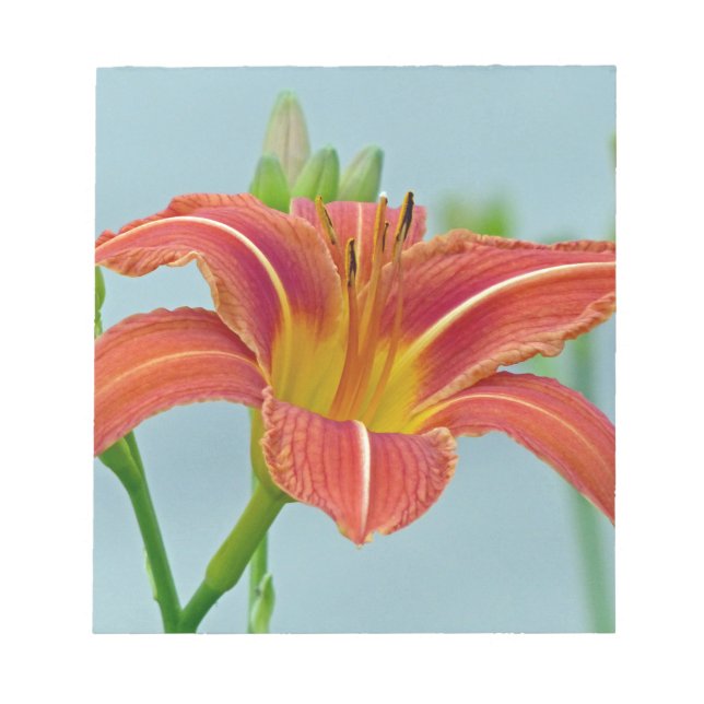 Bloco De Notas Tiger Daylily (Frente)
