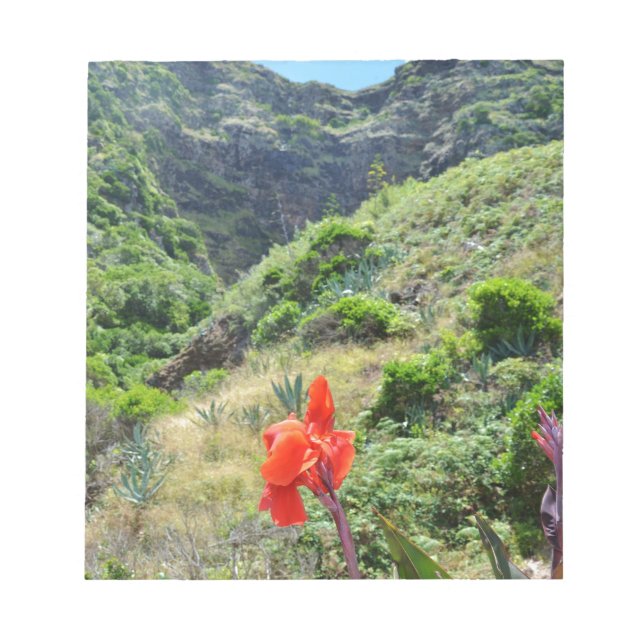 Bloco De Notas Tiro indiano (purpurea indica de Canna) (Frente)