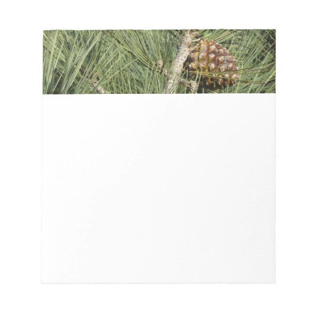 Bloco De Notas Torrey Pine Closeup California Botanical (Frente)