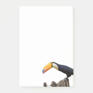 Bloco De Notas Toucan