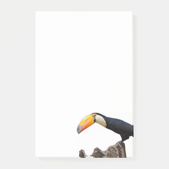 Bloco De Notas Toucan (Frente)
