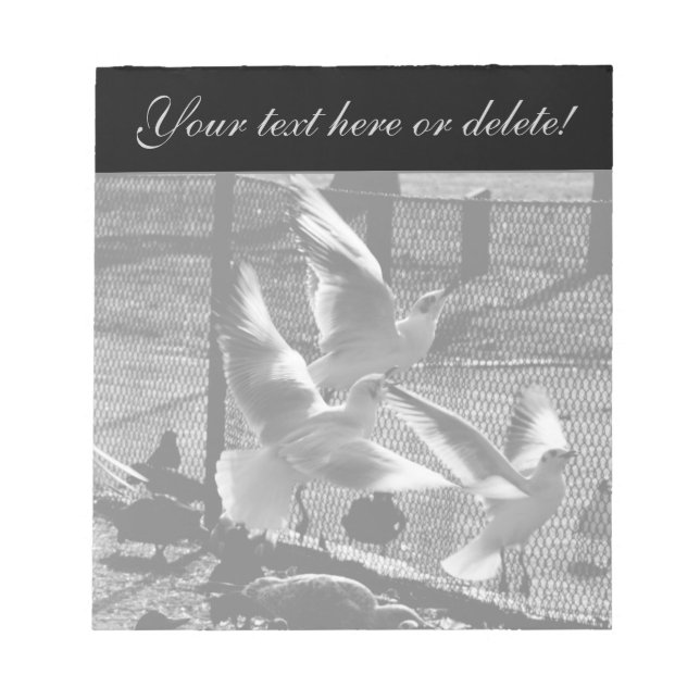 Bloco De Notas Três aves (Frente)