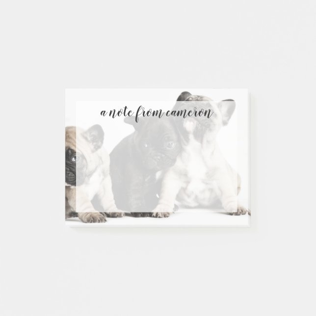 Bloco De Notas Três Pug Puppies (Frente)