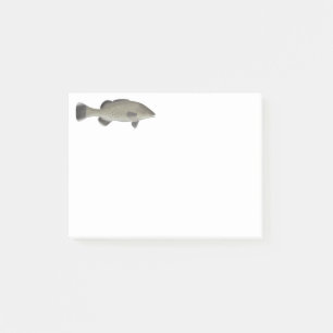 Bloco De Notas Trut Cod