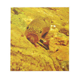 Bloco De Notas Truta em fluxo