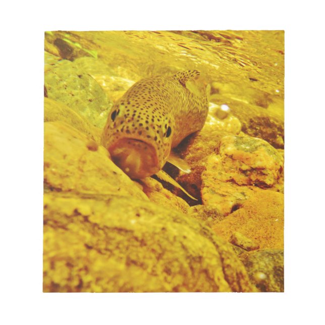 Bloco De Notas Truta em fluxo (Frente)