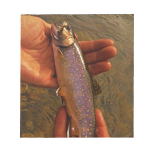 Bloco De Notas Truta em Mãos