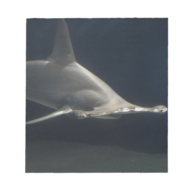 Bloco De Notas Tubarão de Hammerhead (Frente)