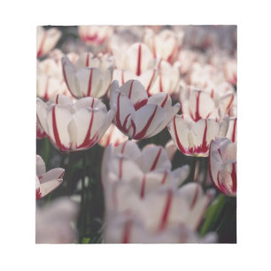 Bloco De Notas Tulipas