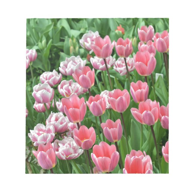 Bloco De Notas tulipas cor-de-rosa (Frente)