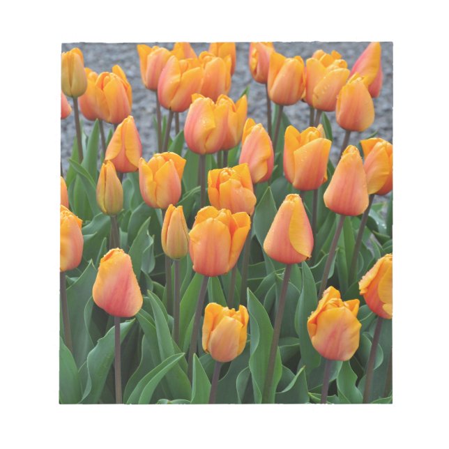 Bloco De Notas Tulipas laranja lindas (Frente)