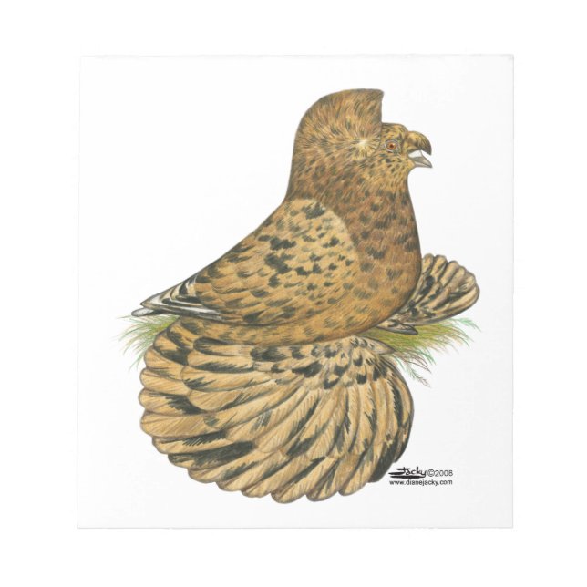 Bloco De Notas Tumpeter Pigeon Almond (Frente)
