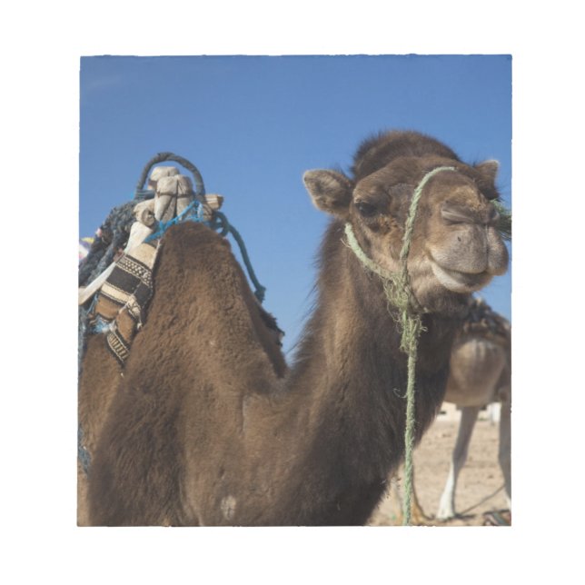 Bloco De Notas Tunísia, Deserto do Sara, Douz, Zone Touristique, (Frente)