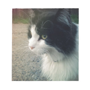 Bloco De Notas Tuxedo Cat