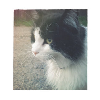 Bloco De Notas Tuxedo Cat