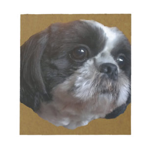 Bloco De Notas Tzu adorável Rico de Shih