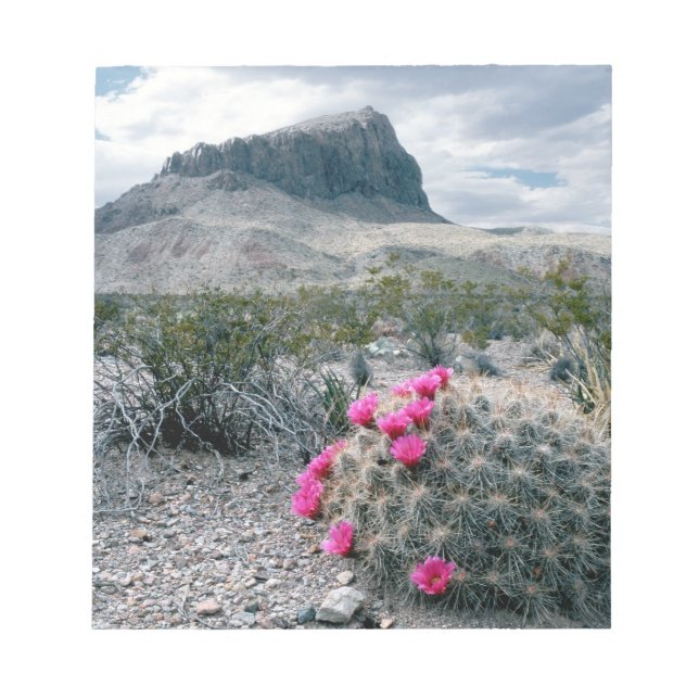 Bloco De Notas U.S.A., Texas, Parque Nacional Big Bend. Blooming (Frente)