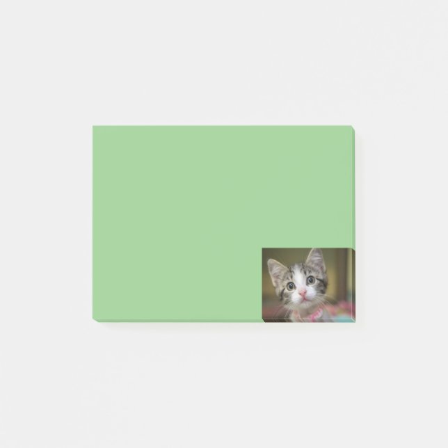 Bloco De Notas Um gatinho fofo com olhos verdes (Frente)