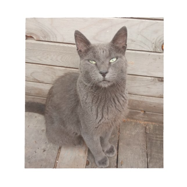 Bloco De Notas Um gato nobre de Cinza (Frente)