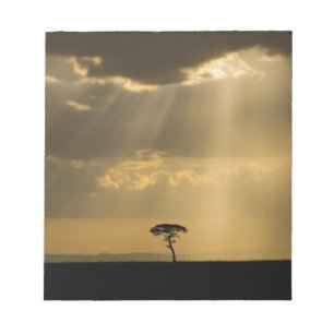 Bloco De Notas Um pôr do sol místico no retorno ao acampamento no