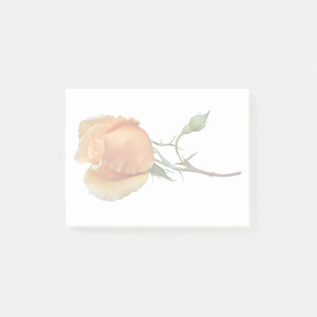 Bloco De Notas Um único corte de rosa       (Frente)