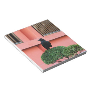 Bloco De Notas Uma Selva De Grande Porte Uma Perca Numa Árvore Nu