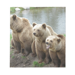Bloco De Notas Ursa ursos animal personalizar Aniversários