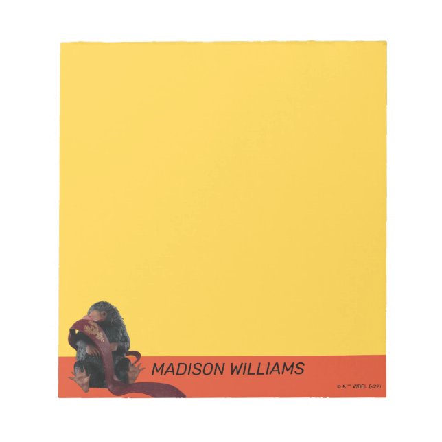 Bloco De Notas Ursinho Com Gráfico De Gravação (Frente)