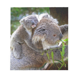 Bloco De Notas Urso de koala bonito do bebê com mamã em uma