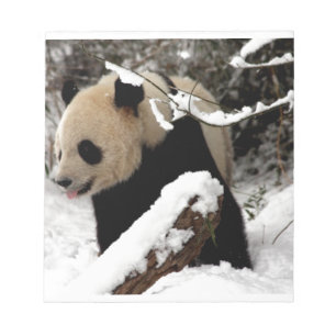 Bloco De Notas Urso de panda