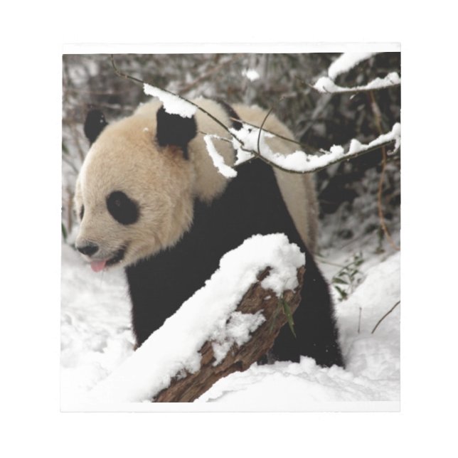 Bloco De Notas Urso de panda (Frente)