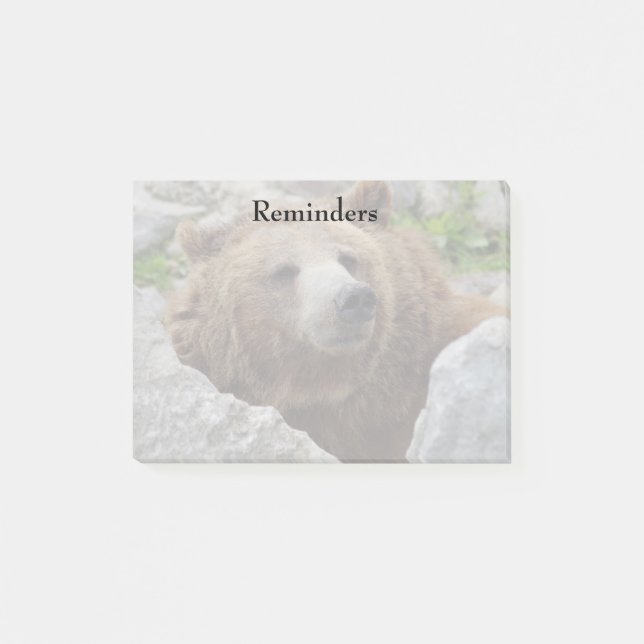 Bloco De Notas Urso Kodiac (Frente)