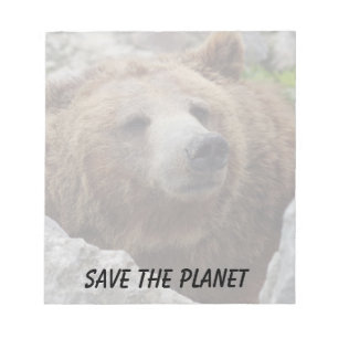 Bloco De Notas Urso Kodiak