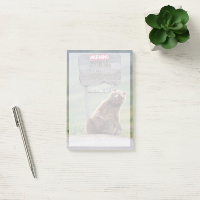 Bloco De Notas Urso Pardo Brinca Com Placa (Escritótio)