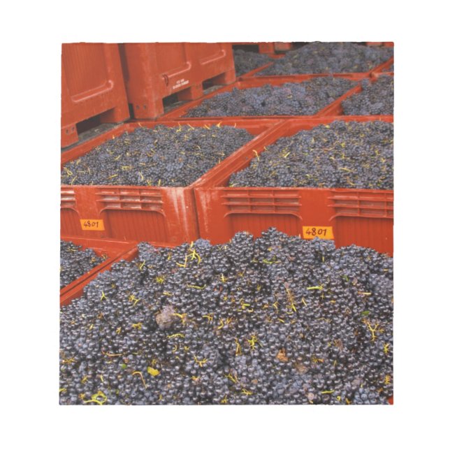 Bloco De Notas Uvas Gamay recém-chegadas da colheita na (Frente)