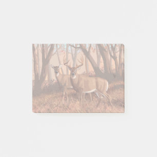 Bloco De Notas Veado De Whitetail Na Floresta - Natureza Do Estil