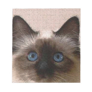 Bloco De Notas velho do crackle do gato siamese envelhecido
