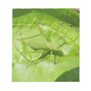 Bloco de notas verde da camuflagem do grilo