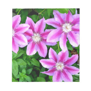 Bloco De Notas Verde-floral, cor-de-rosa, elegante