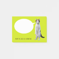 Verde limão de Gato de Conversação Personalizado