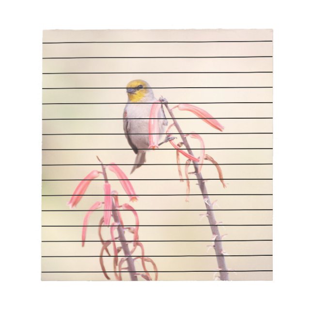 Bloco De Notas Verdin empoleirado no penstem (Frente)