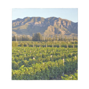 Bloco De Notas Vinhas de Cabernet Sauvignon em Huailai Rongchen 2