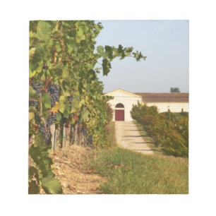 Bloco De Notas Vinhas, videiras petit verdot e a adega ao