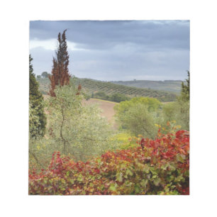 Bloco De Notas Vinícola perto de Montalcino, Toscana, Itália